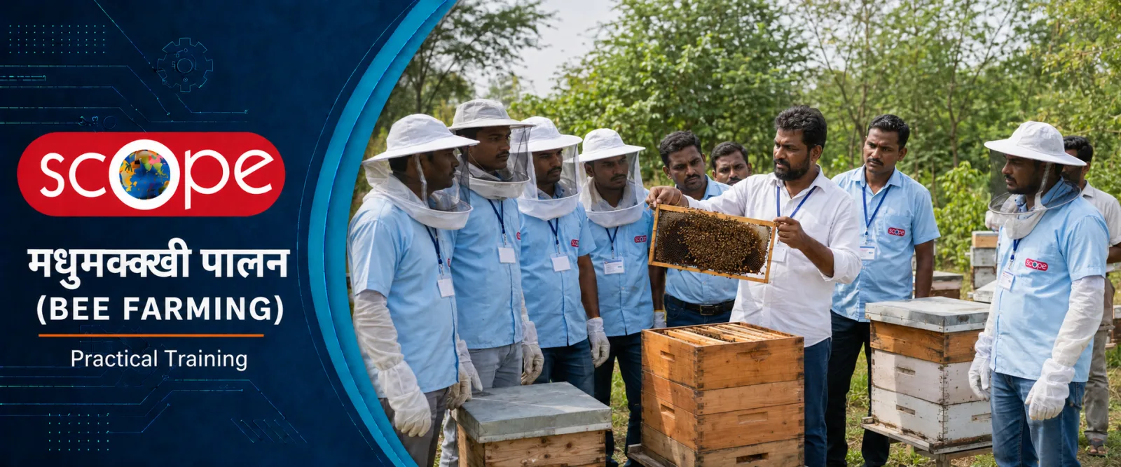Bee Farming