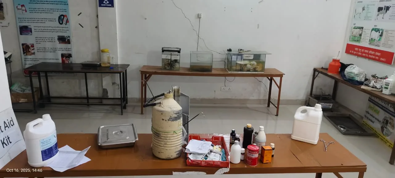 Lab